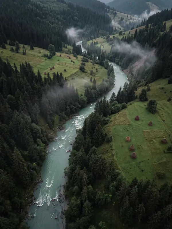 Aerial view of a river in the Carpathian mountains between spruce forest and meadows with haystacks